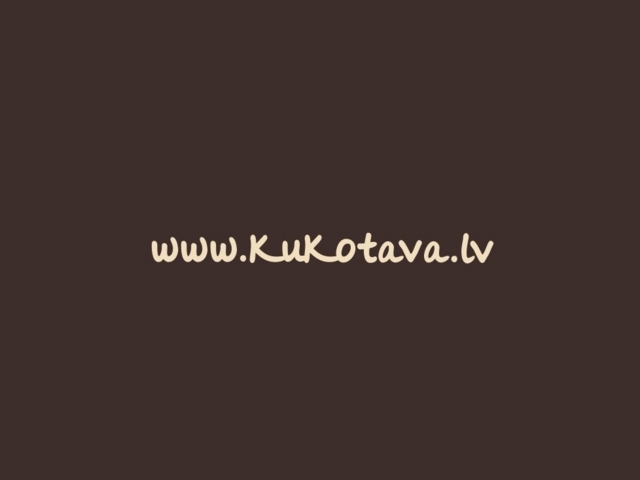 Kūkotava kafejnīca, BL Partneri, SIA